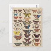 Mariposas Briefkaart (Voorkant / Achterkant)