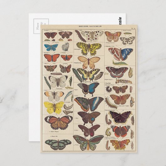 Mariposas Briefkaart (Voorkant / Achterkant)