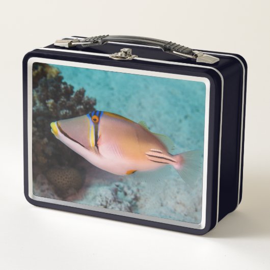 Maritiem Picasso triggervis zwemt nabij koraalrif (Voorkant)