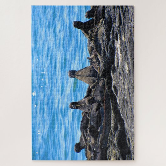 maritiem uiterlijk legpuzzel (Verticaal)