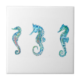 Maritim Seahorse Hippocampus Tegeltje