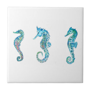 Maritim Seahorse Hippocampus Tegeltje