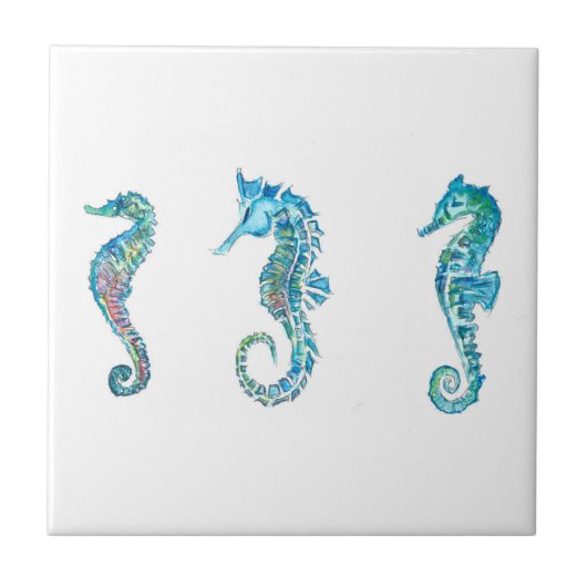 Maritim Seahorse Hippocampus Tegeltje (Voorkant)