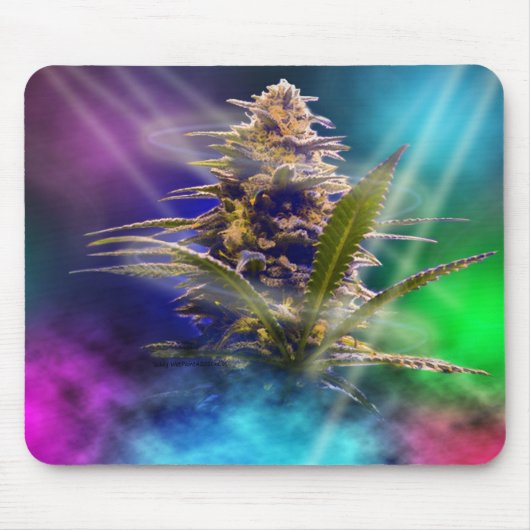 MaritopianLife.com en WetPaint420Studios Muismat (Voorkant)