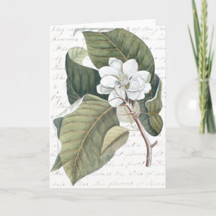 Mark Catesby Magnolia Collage w/ Essay op Flowers Kaart