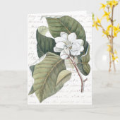 Mark Catesby Magnolia Collage w / Essay over bloem Kaart (Gele Bloem)