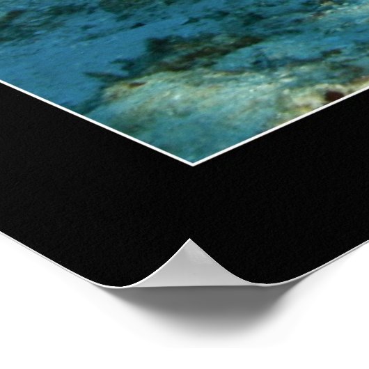 Mark en de Octopus Poster (Hoek)