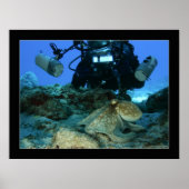 Mark en de Octopus Poster (Voorkant)