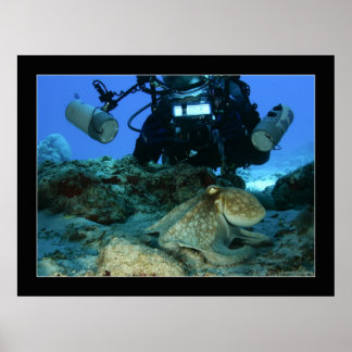 Mark en de Octopus Poster