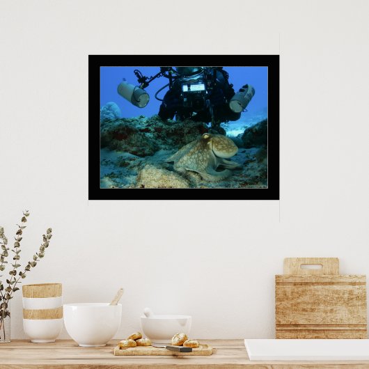Mark en de Octopus Poster (Keuken)