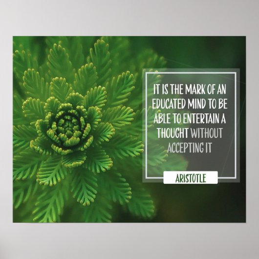 Mark of a Educated Mind Poster (Voorkant)