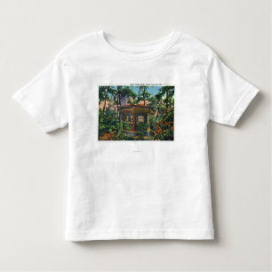 Mark Twain's Study at Quarry Boerderij, East Hill Kinder Shirts