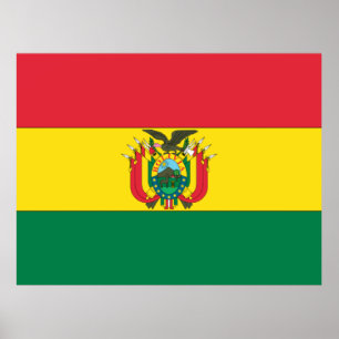 Markering van Bolivia Poster