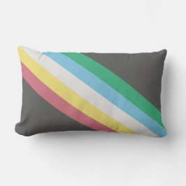 Markering van gehandicaptenrechten kussen