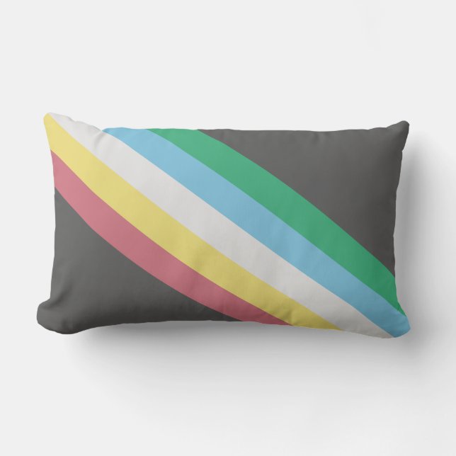 Markering van gehandicaptenrechten kussen (Voorkant)