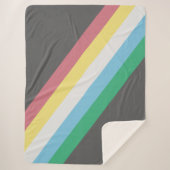 Markering van gehandicaptenrechten sherpa deken (Voorkant)