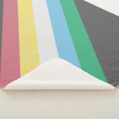 Markering van gehandicaptenrechten sherpa deken (3/4)