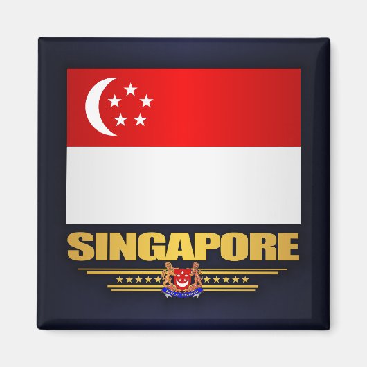 Markering van Singapore Magneet (Voorkant)
