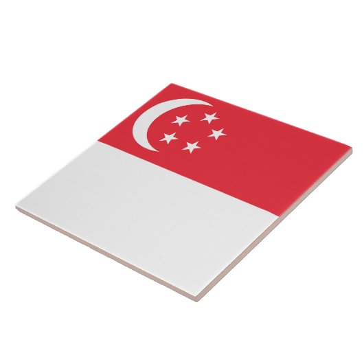 Markering van Singapore Tegeltje (Zijkant)