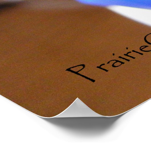 Markers in zonlicht poster (Hoek)