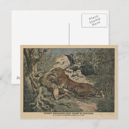 Markies van Barthélemy gewond door een tijger Briefkaart (Voorkant / Achterkant)