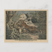 Markies van Barthélemy gewond door een tijger Briefkaart (Voorkant)