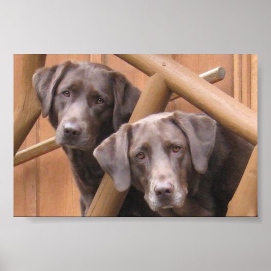 MARKS GALLERY POSTER (Voorkant)
