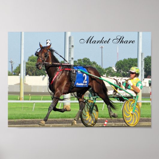 Marktaandeel Poster (Voorkant)