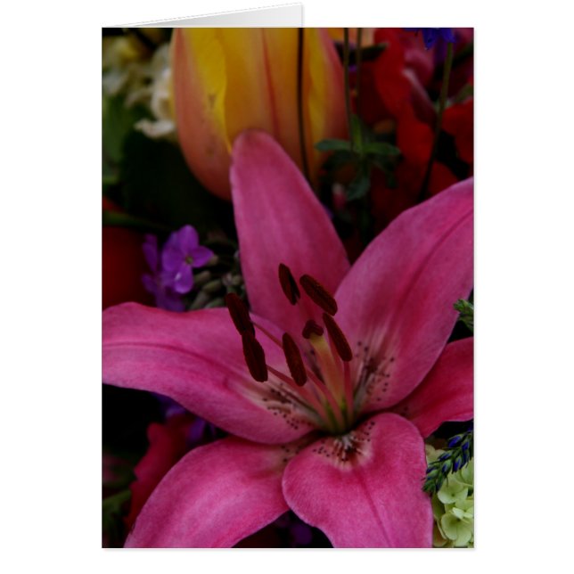 Marktbloemen I (Voorkant)