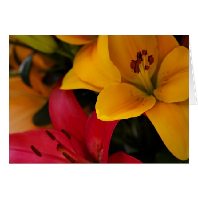 Marktbloemen II (Voorkant Horizontaal)