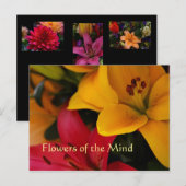 Marktbloemen II Briefkaart (Voorkant / Achterkant)