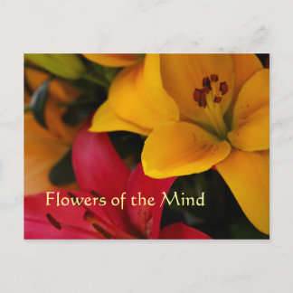 Marktbloemen II Briefkaart