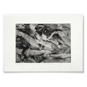 Marktluisteren Foto Afdruk