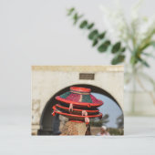 Marktpakketten in Harar, Ethiopië Briefkaart (Staand voorkant)