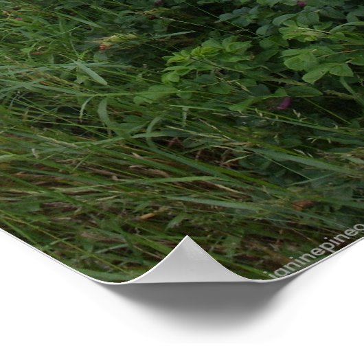 Marlboro Beach, Maine poster (Hoek)