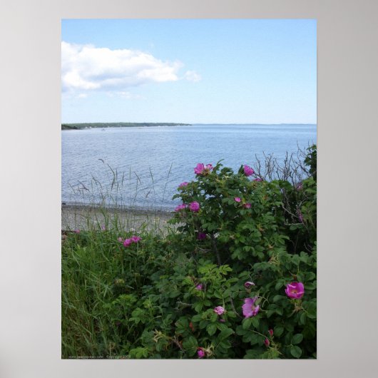 Marlboro Beach, Maine poster (Voorkant)