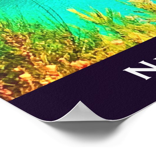 Marlborough Klinkt Nieuw-Zeeland reizen Poster (Hoek)