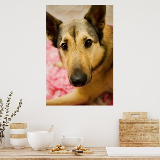 Marley Cherry Blossom Pedals Poster (Keuken)