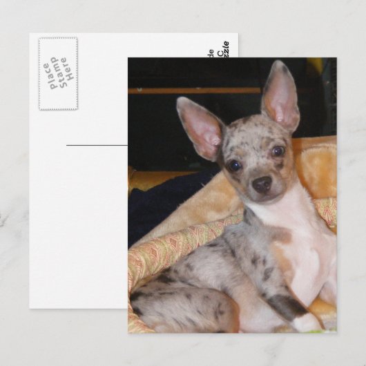 Marley~Class & Collide Briefkaart (Voorkant / Achterkant)