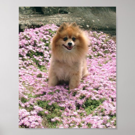 Marley met Poster met roze bloemen (Voorkant)