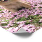 Marley met Poster met roze bloemen (Hoek)