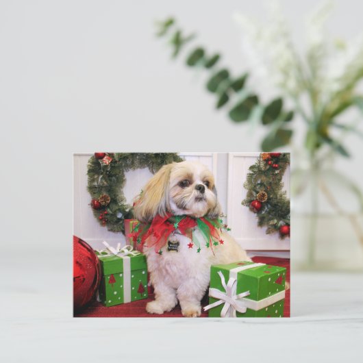 Marley - Shih Tzu - Robbins Briefkaart (Staand voorkant)