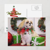 Marley - Shih Tzu - Robbins Briefkaart (Voorkant / Achterkant)