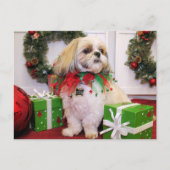 Marley - Shih Tzu - Robbins Briefkaart (Voorkant)