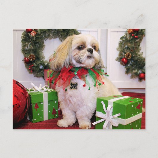 Marley - Shih Tzu - Robbins Briefkaart (Voorkant)