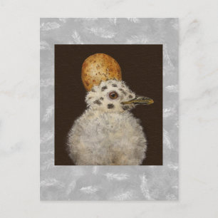 Marley the baby seagull briefkaart