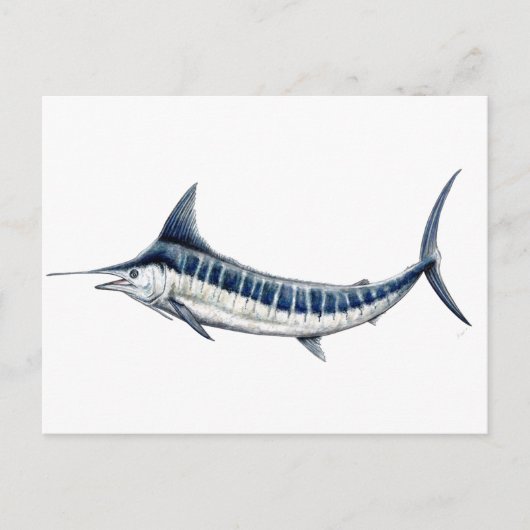 Marlin azul-redbubble briefkaart (Voorkant)