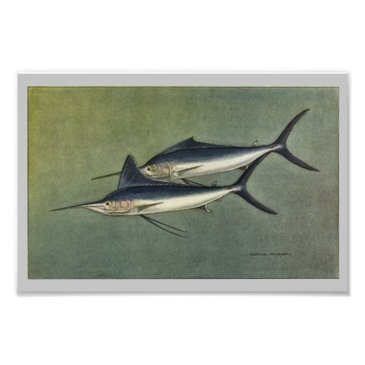 Marlin of Spearfish Print Foto Afdruk (Voorkant)