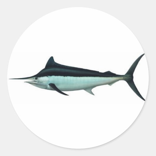 Marlin Ronde Sticker (Voorkant)