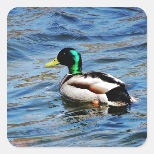 Marllad Vierkante Sticker (Voorkant)